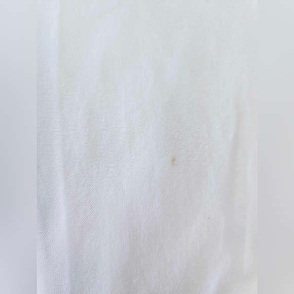 Everlane Japanese Oxford Bib Shirt Size 4 - Picture 11 of 16